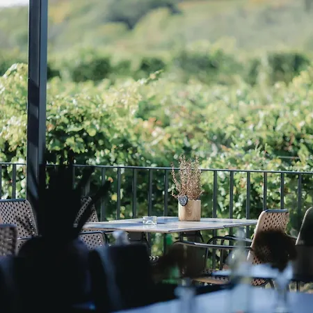 Guest house Rudi - Weingut Kellner