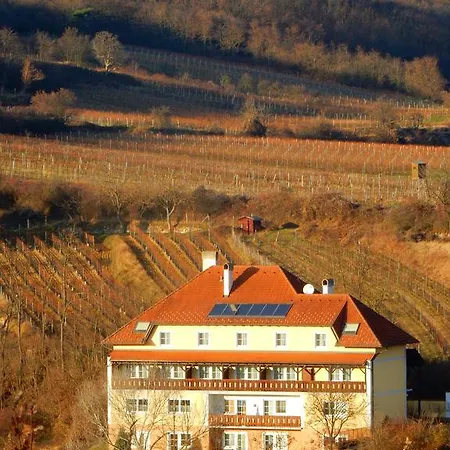 Rudi - Weingut Kellner