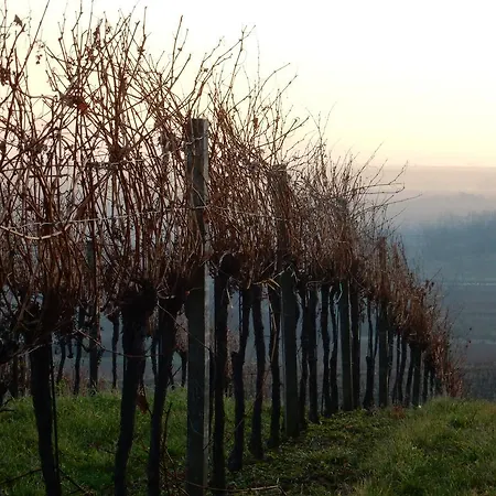 Guest house Rudi - Weingut Kellner Pulkau