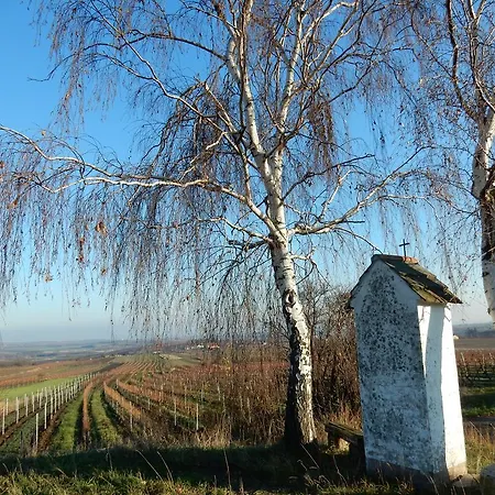 Rudi - Weingut Kellner