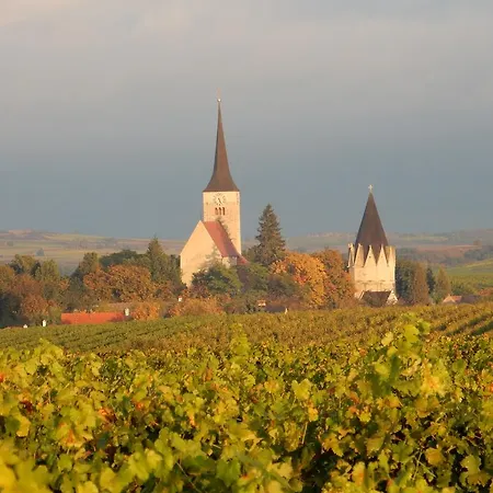 Rudi - Weingut Kellner Pulkau