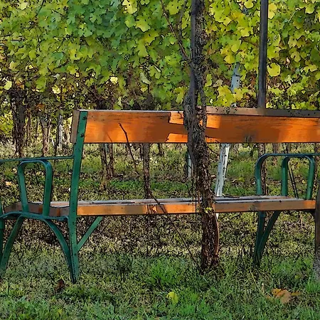 Guest house Rudi - Weingut Kellner