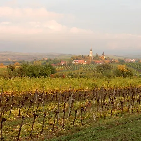 Konukevi Rudi - Weingut Kellner 3*
