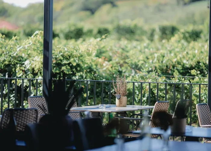 Pensión Rudi - Weingut Kellner