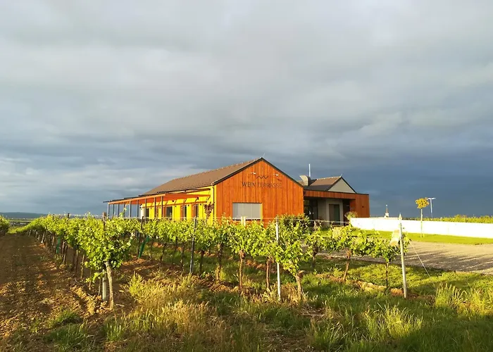 Pensión Rudi - Weingut Kellner Pulkau