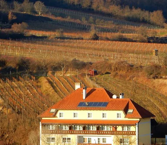 Rudi - Weingut Kellner