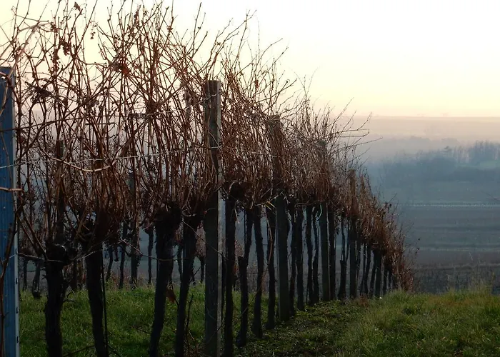 Pensión Rudi - Weingut Kellner Pulkau