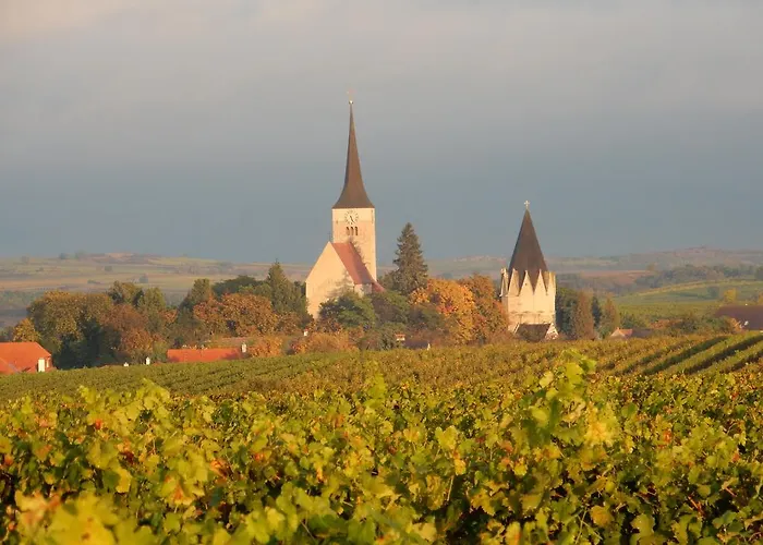 Rudi - Weingut Kellner Pulkau