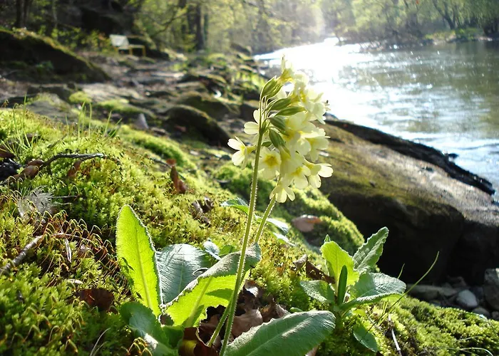 Rudi - Weingut Kellner 3*