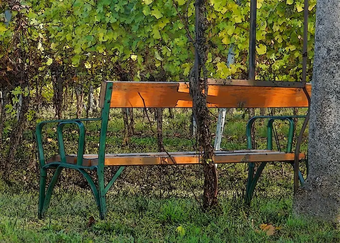 Pensión Rudi - Weingut Kellner