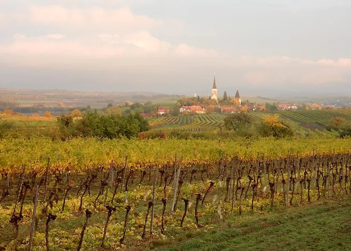Pensión Rudi - Weingut Kellner 3*